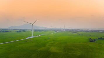 view of turbine green energy electricity, windmill for electric power production, Wind turbines generating electricity on rice field at Phan Rang, Ninh Thuan province, Vietnam photo