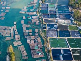 Aerial view of white shrimp, prawn, farm with aerator pump in O Loan lagoon , Phu Yen province, Vietnam photo