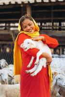 vietnamita mujer con Cordero en un campo, un oveja granja en el estepa zona en ninh Thuan provincia, Vietnam. foto