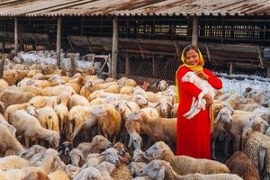 vietnamita mujer con Cordero en un campo, un oveja granja en el estepa zona en ninh Thuan provincia, Vietnam. foto