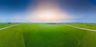 ver de turbina verde energía electricidad, molino para eléctrico poder producción, viento turbinas generando electricidad en arroz campo a phan sonó, ninh Thuan provincia, Vietnam foto