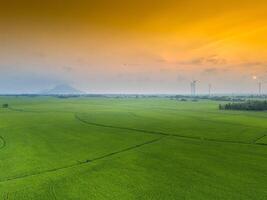 view of turbine green energy electricity, windmill for electric power production, Wind turbines generating electricity on rice field at Phan Rang, Ninh Thuan province, Vietnam photo