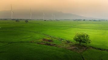 ver de turbina verde energía electricidad, molino para eléctrico poder producción, viento turbinas generando electricidad en arroz campo a phan sonó, ninh Thuan provincia, Vietnam foto