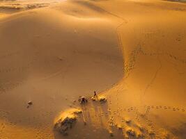 Aerial view of a peasant woman carries a bamboo frame on the shoulder across sand dunes in Ninh Thuan province, Vietnam. It is one of the most beautiful places in Vietnam photo