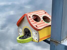 Charming hand-painted birdhouse attached to a metal railing, with calm water in the background, symbolizing urban wildlife care photo