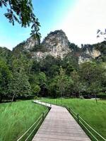 A wooden pathway leads to a secluded lodge nestled at the base of a majestic limestone cliff surrounded by lush tropical forest photo