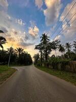 A tranquil highway leads towards a stunning sunset, flanked by lush greenery and radiant skies at dusk. photo