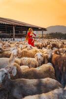 vietnamita mujer con Cordero en un campo, un oveja granja en el estepa zona en ninh Thuan provincia, Vietnam. foto