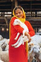 vietnamita mujer con Cordero en un campo, un oveja granja en el estepa zona en ninh Thuan provincia, Vietnam. foto