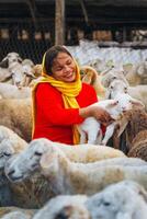 vietnamita mujer con Cordero en un campo, un oveja granja en el estepa zona en ninh Thuan provincia, Vietnam. foto