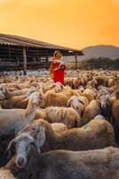 vietnamita mujer con Cordero en un campo, un oveja granja en el estepa zona en ninh Thuan provincia, Vietnam. foto