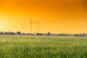 view of turbine green energy electricity, windmill for electric power production, Wind turbines generating electricity on rice field at Phan Rang, Ninh Thuan province, Vietnam photo