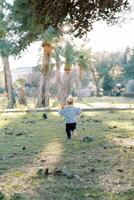Little girl walks along the green grass in the park to the bushes. Back view photo