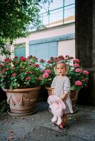 pequeño niña con un juguete Conejo en su manos soportes cerca rosado hortensias en arcilla ollas en el patio foto