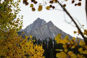 Mount Ishbel from Ink Pots photo