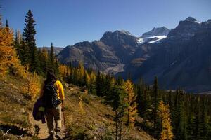 Woman hiker walking through the Rocky Mountains of Canada. photo