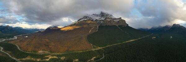 Aerial view of a mountain full of burned trees. photo