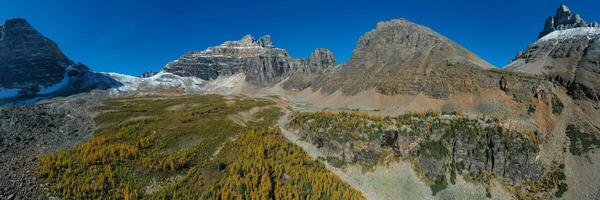 Panoramic of Wenkchemna Peak in autumn. photo