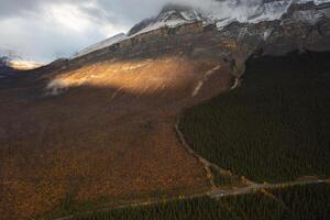 Aerial view of a mountain full of burned trees. photo