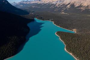 aéreo ver de el increíble peyto lago. foto