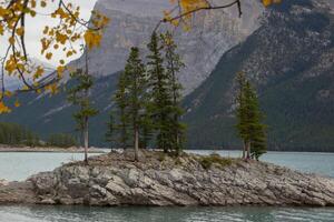 nublado día en rocoso isla en lago minnewanka, canadiense rocoso montañas, banff nacional parque foto