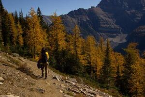 mujer caminante caminando mediante el rocoso montañas de Canadá. foto