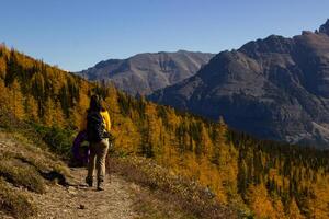 mujer caminante caminando mediante el rocoso montañas de Canadá. foto
