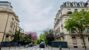 primavera en París, idílico ver de un sereno, árbol forrado calle con clásico francés arquitectura, adecuado para viaje y urbano estilo de vida temas 15 abril 2024, París, Francia foto