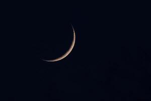 un Delgado astilla de el creciente Luna foto