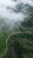 Aerial view of the road in the forest with fog and cloud photo