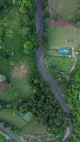 Aerial view of a small river in the middle of the jungle photo