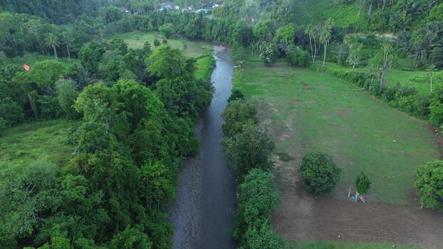 Aerial view of a small river in the middle of the jungle photo