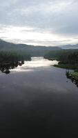 Aerial view of Perintis Lake surrounded by trees photo