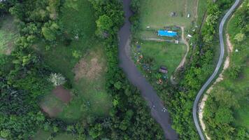 Aerial view of a small river in the middle of the jungle photo