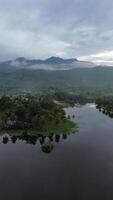 aéreo ver de perintis lago rodeado por arboles foto