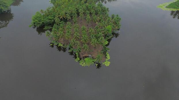 Aerial view of Perintis Lake surrounded by trees photo