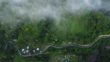 Aerial view of the road in the forest with fog and cloud photo