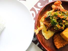 Indonesian fried chicken rice with tempeh and tofu sprinkled with spring onion chili sauce photo