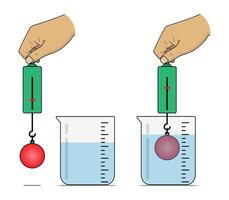 Weigh the Mass of an Object in Water using a Spring Balance vector