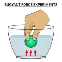 Buoyant Force Experiments vector