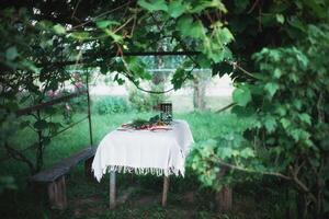 Garden table with a white tablecloth and food under an arch of grapes. Outdoor dining area. photo