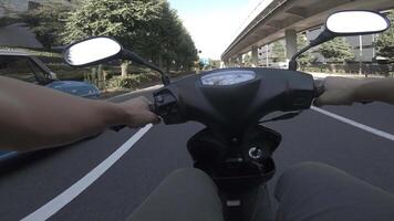 un punto de ver de conducción por bicicleta a aoyama avenida en tokio video