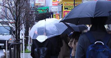 en marchant gens corps les pièces à le traversée dans Shinjuku tokyo pluvieux journée video