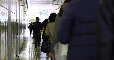 Walking people body parts at the crossing in Shinjuku Tokyo rainy day video