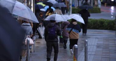 Walking people body parts at the crossing in Shinjuku Tokyo rainy day video