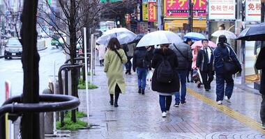wandelen mensen lichaam onderdelen Bij de kruispunt in shinjuku tokyo regenachtig dag video