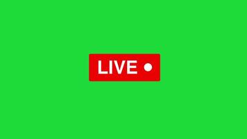 Red blinking live on air motion graphics animation green screen background video