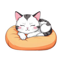 chat en train de dormir sur une oreiller png