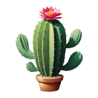 cactus plant with flower on transparent background png