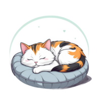 cat sleeping on a pillow png